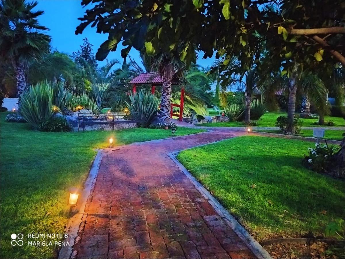 Hotel Palmas Teotihuacan San Juan Teotihuacán Exterior foto